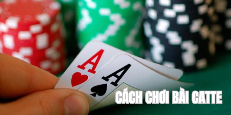 Cách chơi Catte cơ bản bạn cần nắm được