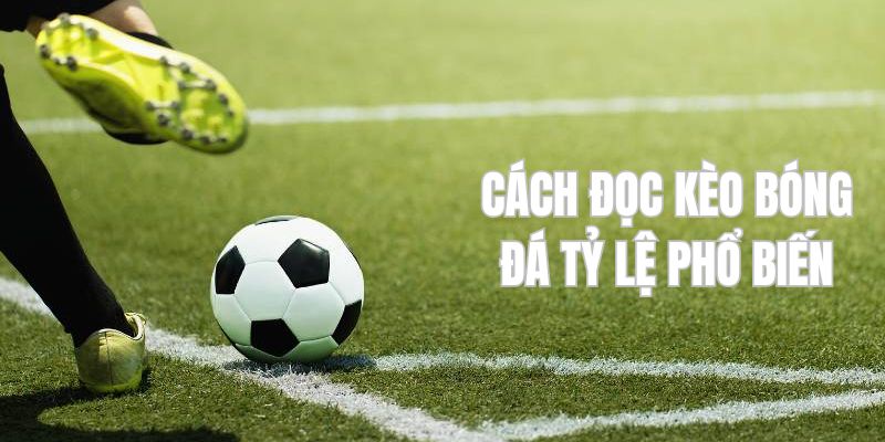 Đọc kèo bóng đá hướng dẫn chi tiết các loại phổ biến