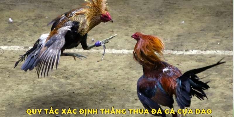 Xác định thắng thua độc đáo, giúp người xem có được trải nghiệm hoàn hảo