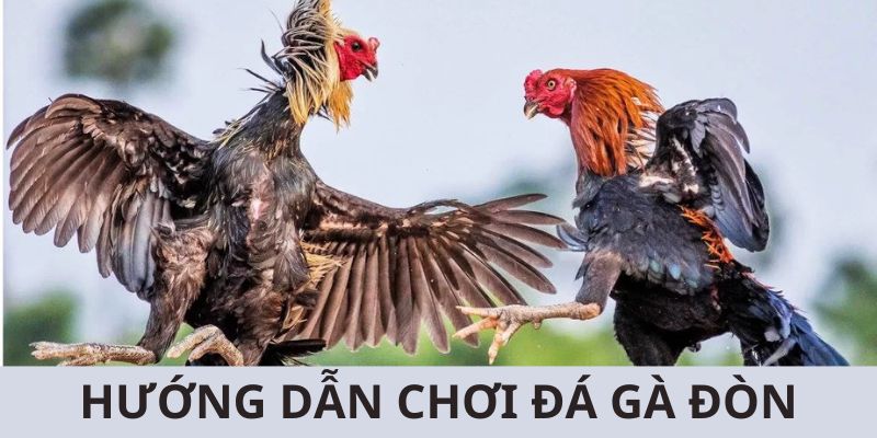 Chi tiết các bước hướng dẫn bạn tham gia giải trí tại nhà cái uy tín