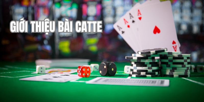 Bài Catte và những thông tin sơ lược