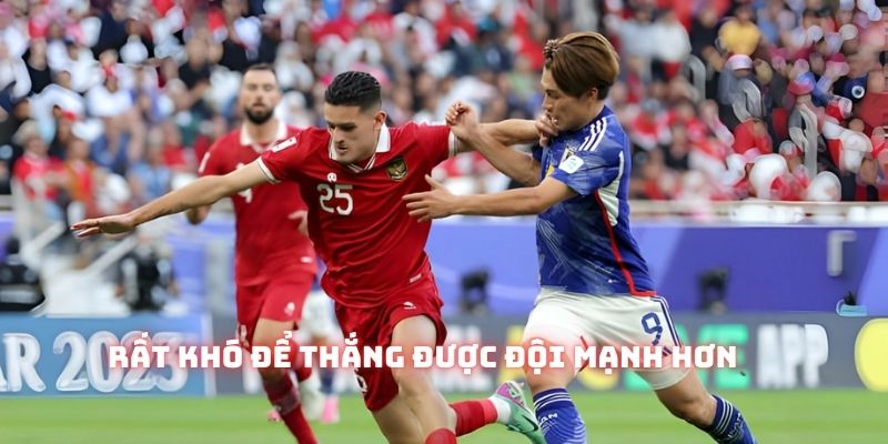 Kèo châu âu, nhật bản indo
