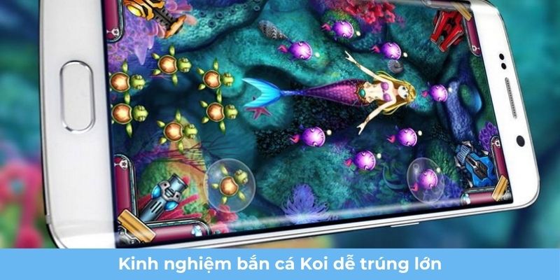 Kinh nghiệm bắn cá Koi dễ trúng lớn