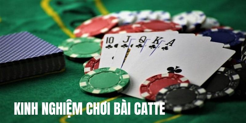 Kinh nghiệm chơi Catte thắng lớn bật mí cho game thủ