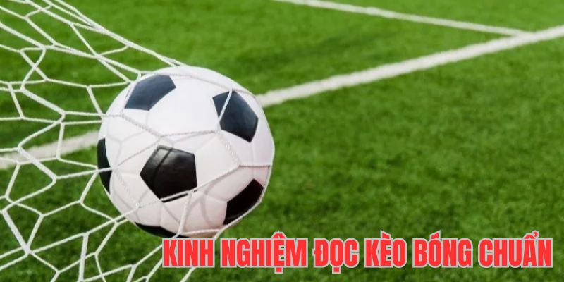 Kinh nghiệm đọc kèo bóng tối ưu thắng lợi