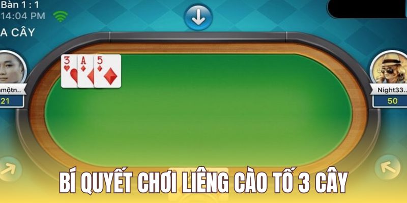 Áp dụng bí quyết linh hoạt giúp cá cược hiệu quả