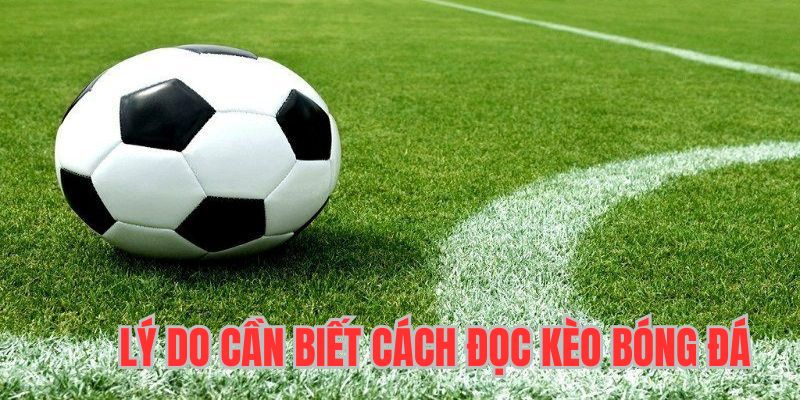 Cách đọc kèo bóng đá những lý do cần nắm vững