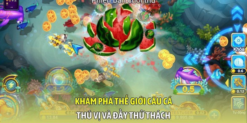 Y8 câu cá giới thiệu